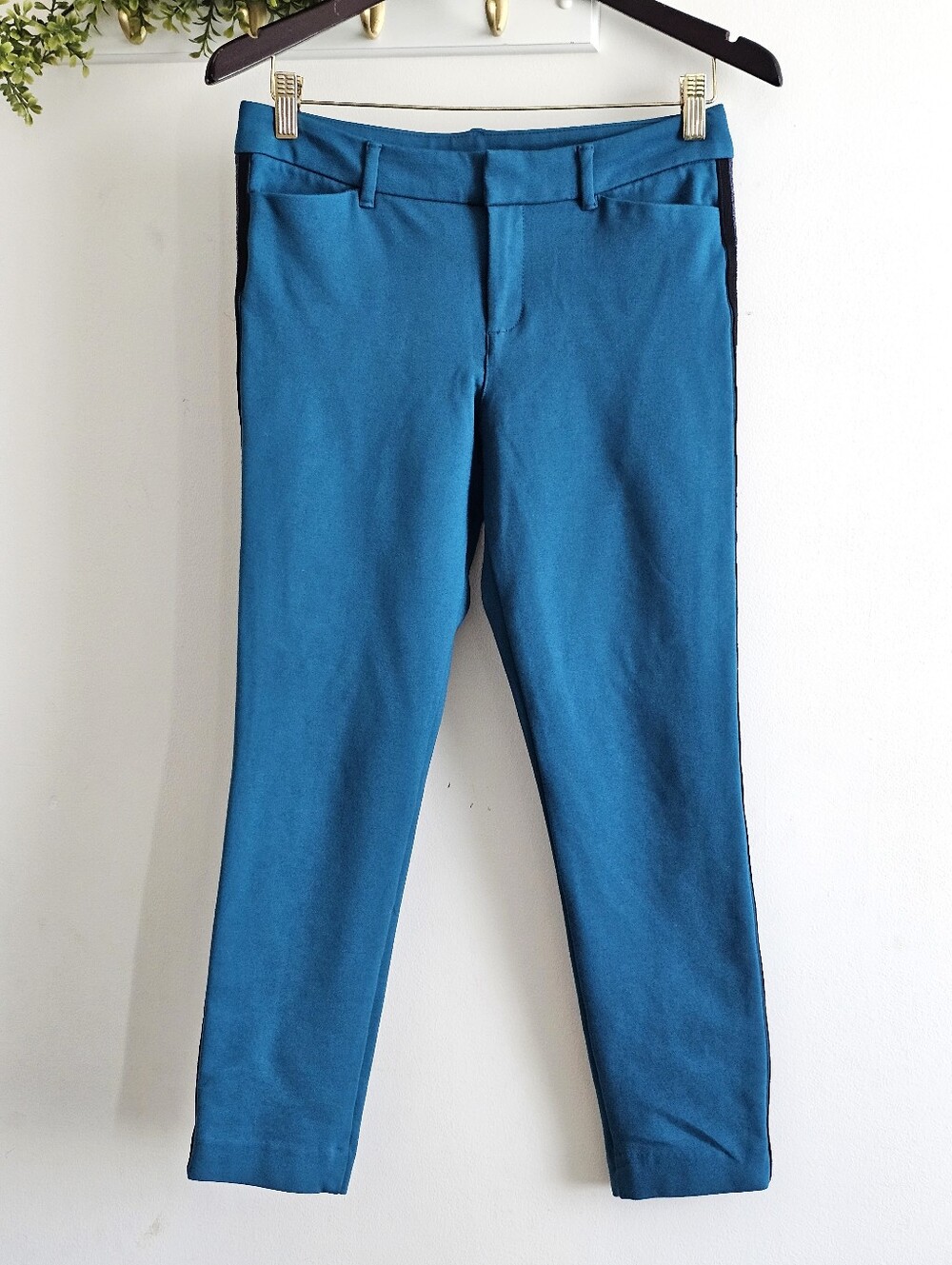Old Navy Pixie Teal Blue Tuxedo Stripe Ankle Pants Women’s Size 4